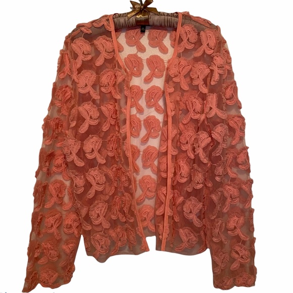 Cupio Jackets & Blazers - Cupio Embroidered Floral Sheer Pink Open Jacket XL